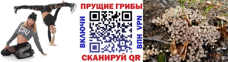 продажа наркотиков  Осташков  Галлюциногенные грибы мухоморы 