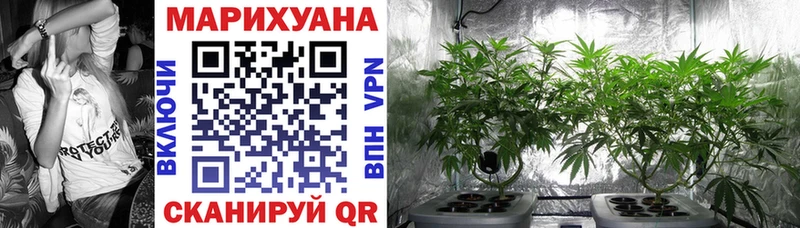 Бошки марихуана марихуана  Осташков 